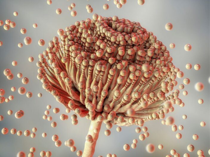 tüdőt támadó gombafertőzés terjed