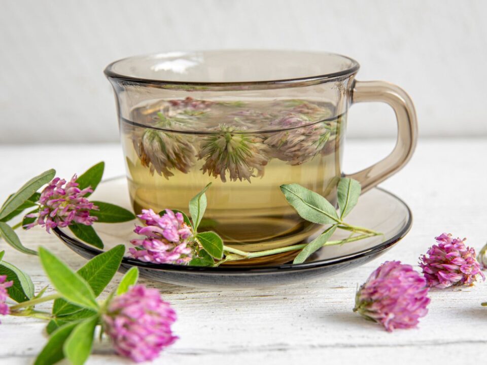 voroshere-menopauza-tunetek-csontritkulas - Nők Lapja vöröshere réti here menopauza csontritkulás egészség gyógynövény