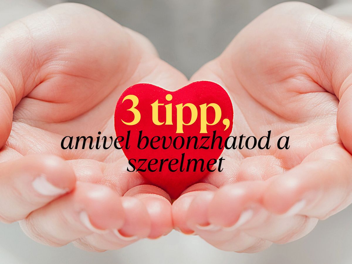 fengsuj partner bevonzása