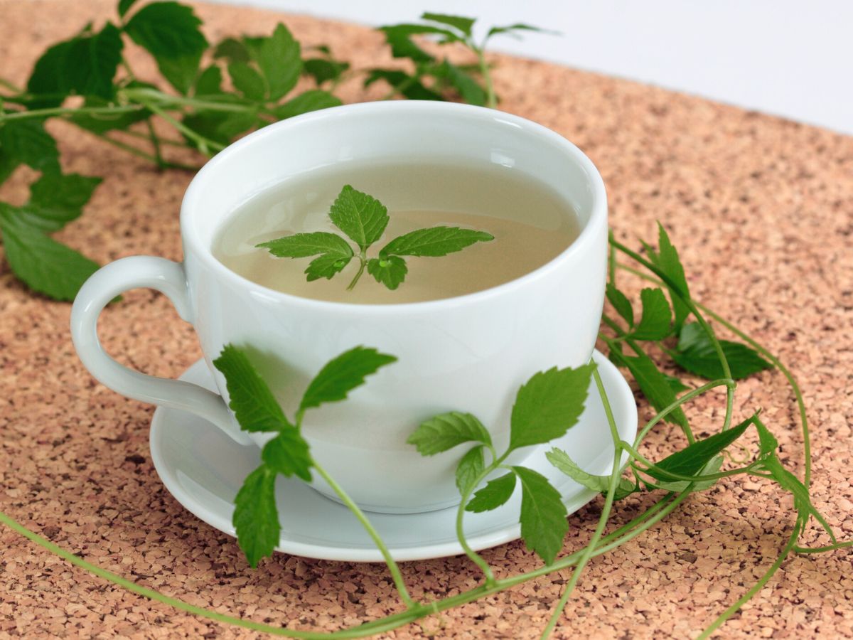 halhatatlanság gyógynövénye jiaogulan természetes gyógymód gyógynövény egészség