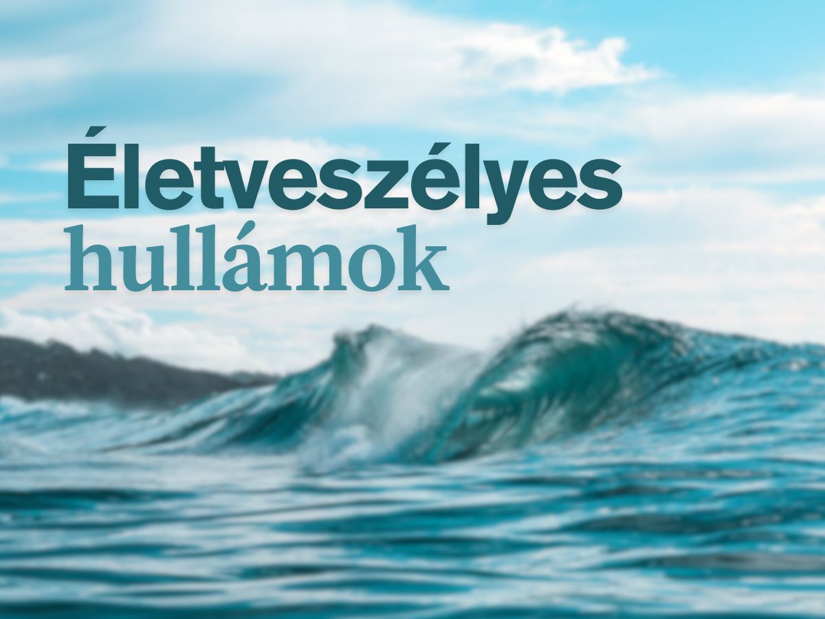 halalos veszély nyaralás