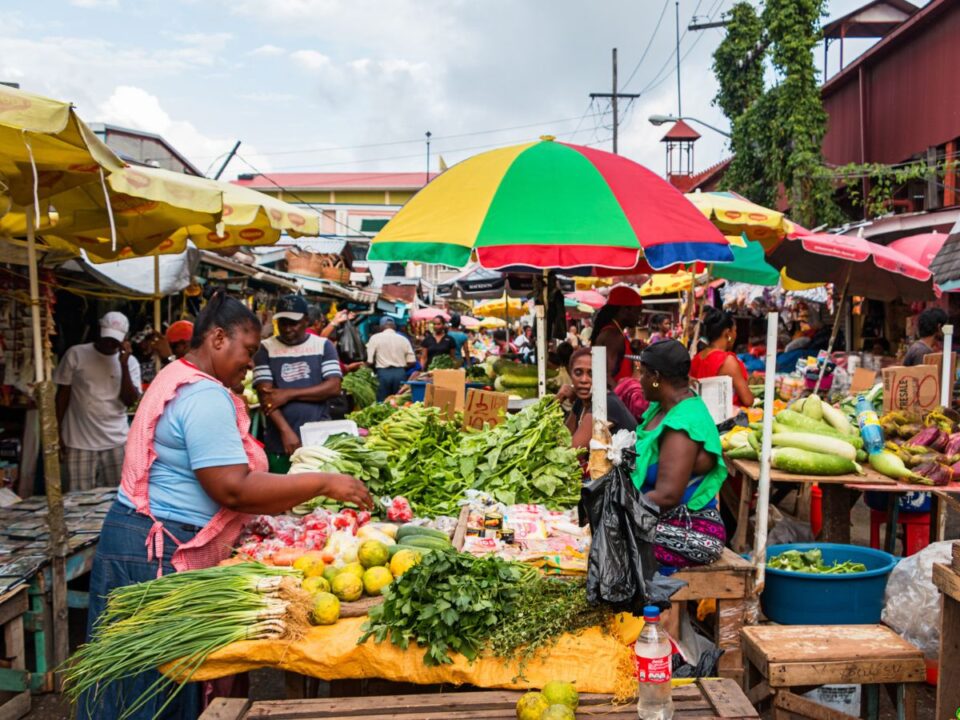onellato-orszag-guyana - Nők Lapja önellátó ország guyana