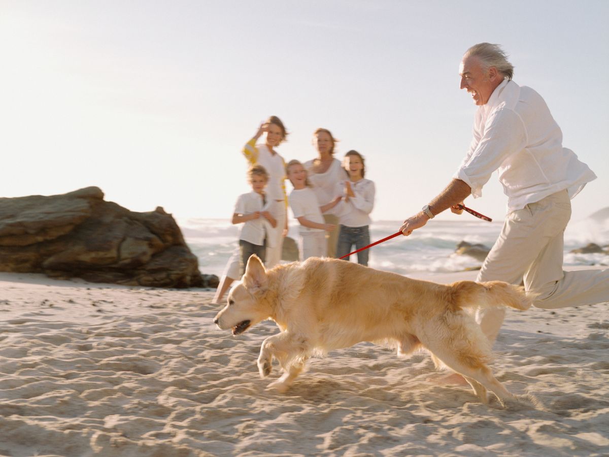 kutya pórázon a strandon