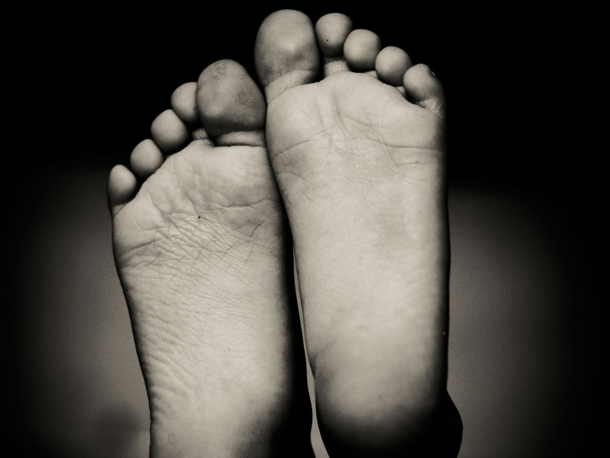 talpak, láb, lábfej