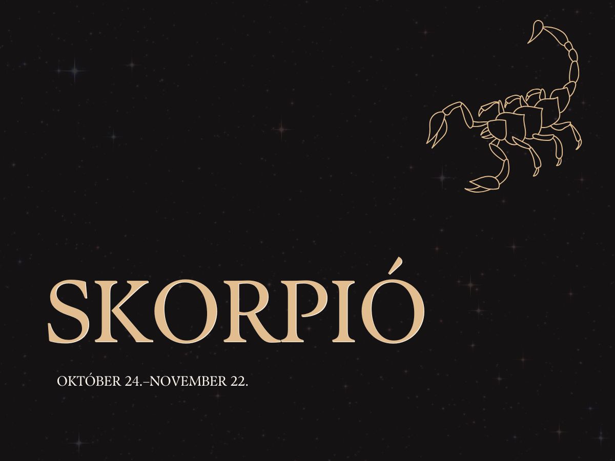 3-csillagjegy-felnottknet-talal-baratra - Nők Lapja - Nők Lapja