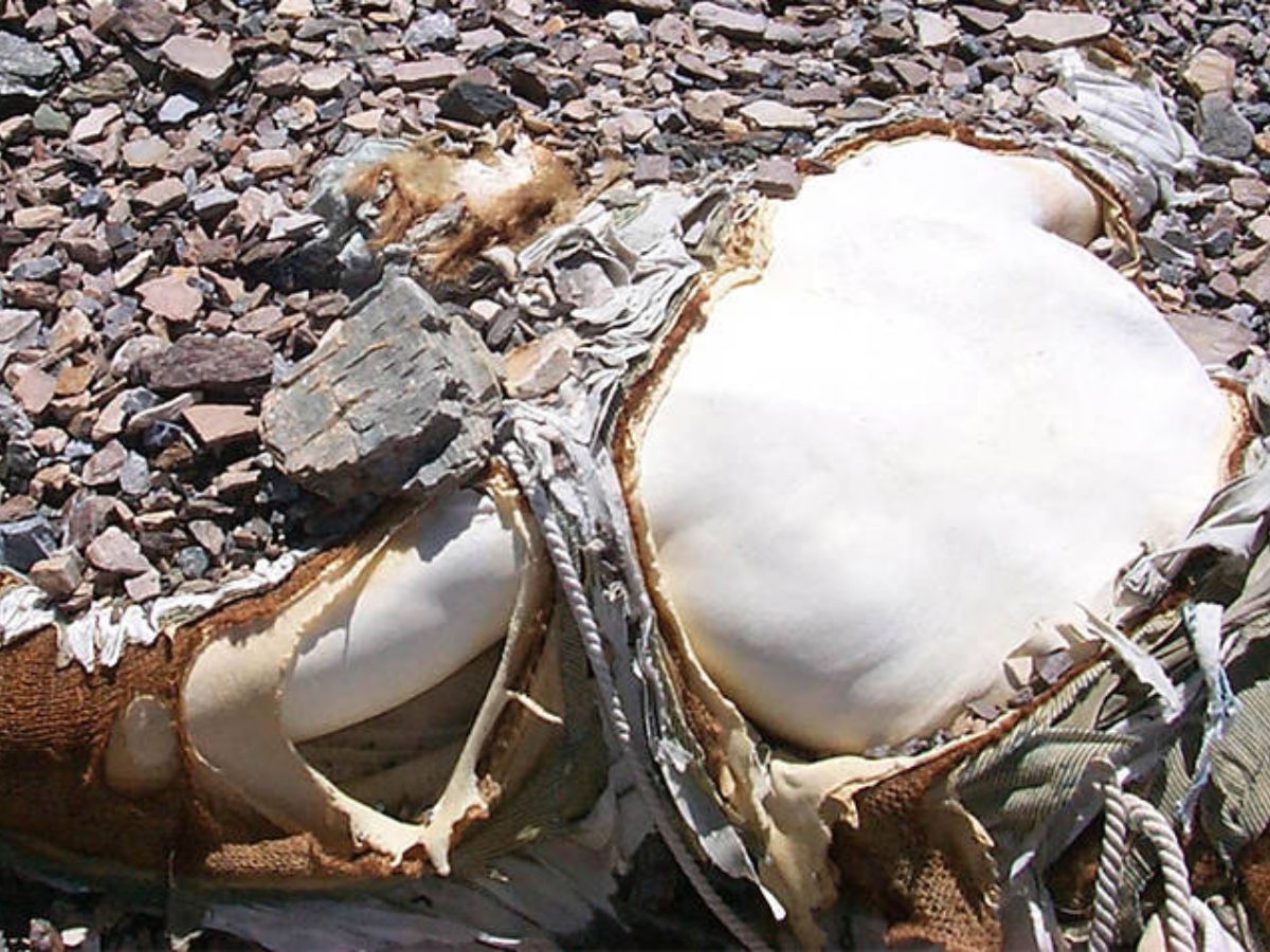 George Mallory holttest