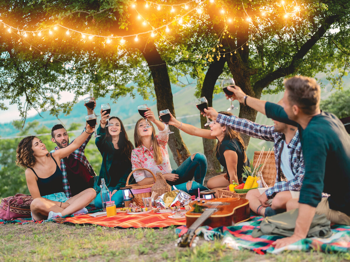 fiatal társaság piknikezik és koccint