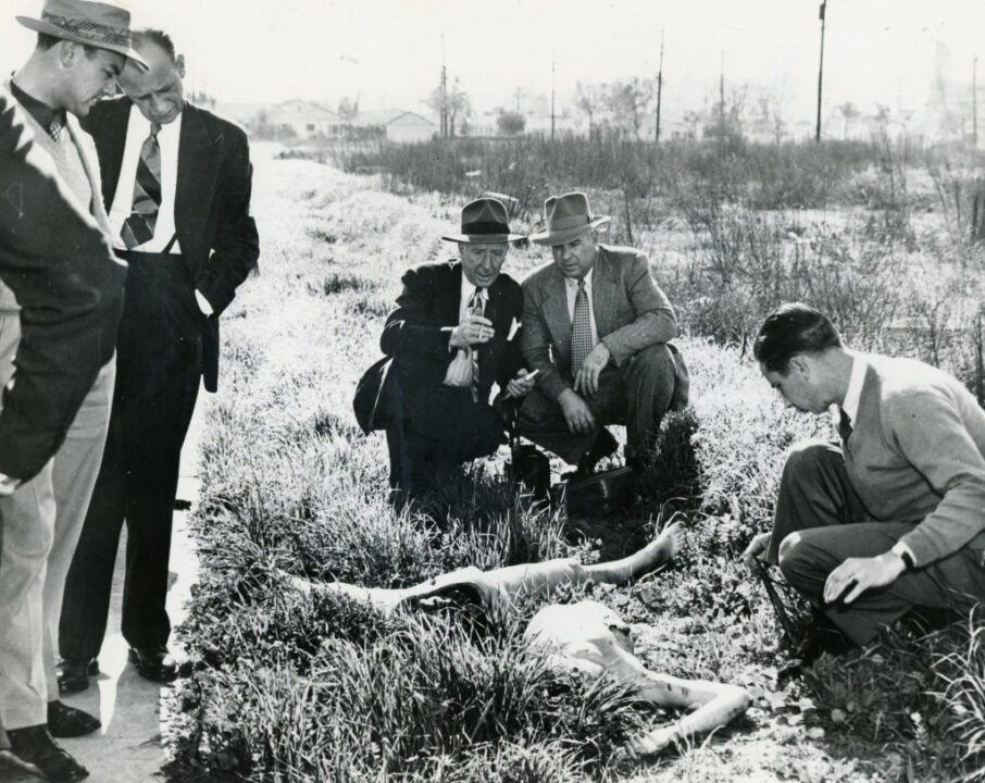 black-dahlia-gyilkossag-true-crime