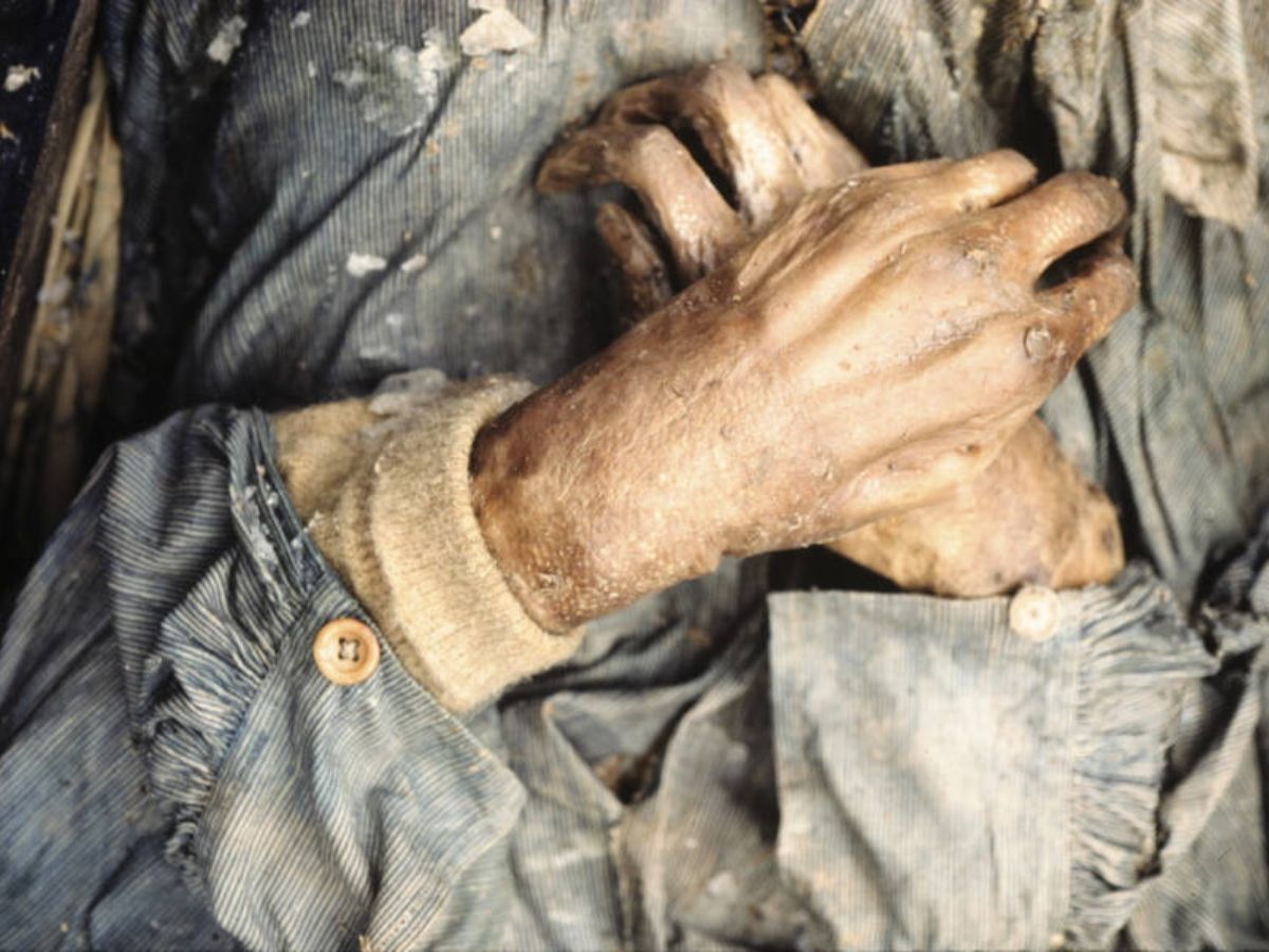 John Torrington holttest