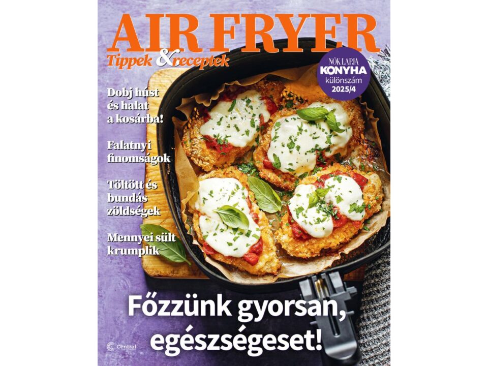 Nők Lapja Konyha Air fryer