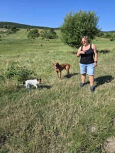 vasné életmódváltók