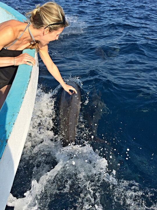 delfinek-kozt-mexiko-partjainal - Nők Lapja Szerzőnk a kíváncsi delfinraj társaságában