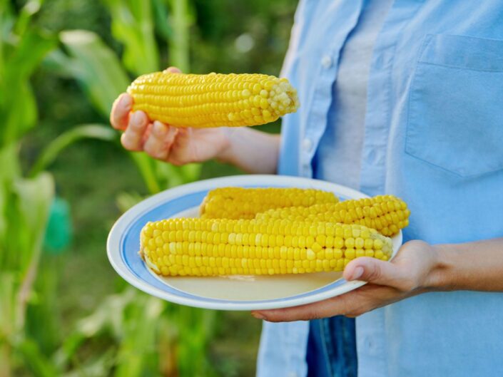 kukorica főtt kukorica