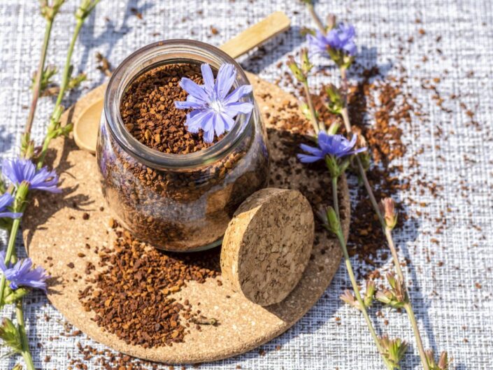 inulin cikória rost