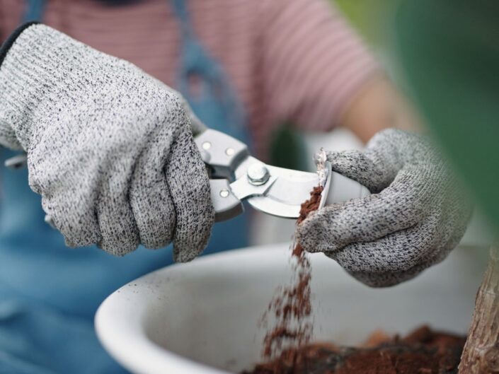 metszőolló kávézacc növény föld kertész nő