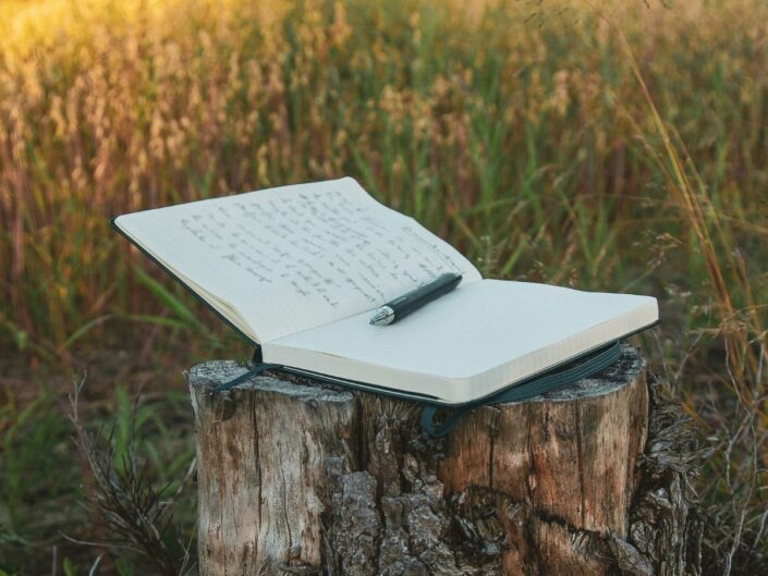 költészet, vers, irodalom