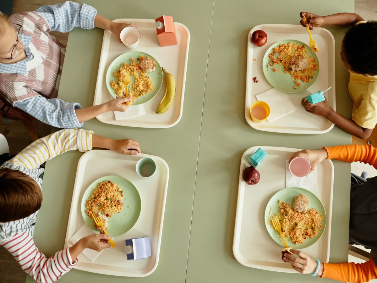 menza gyerekek étel