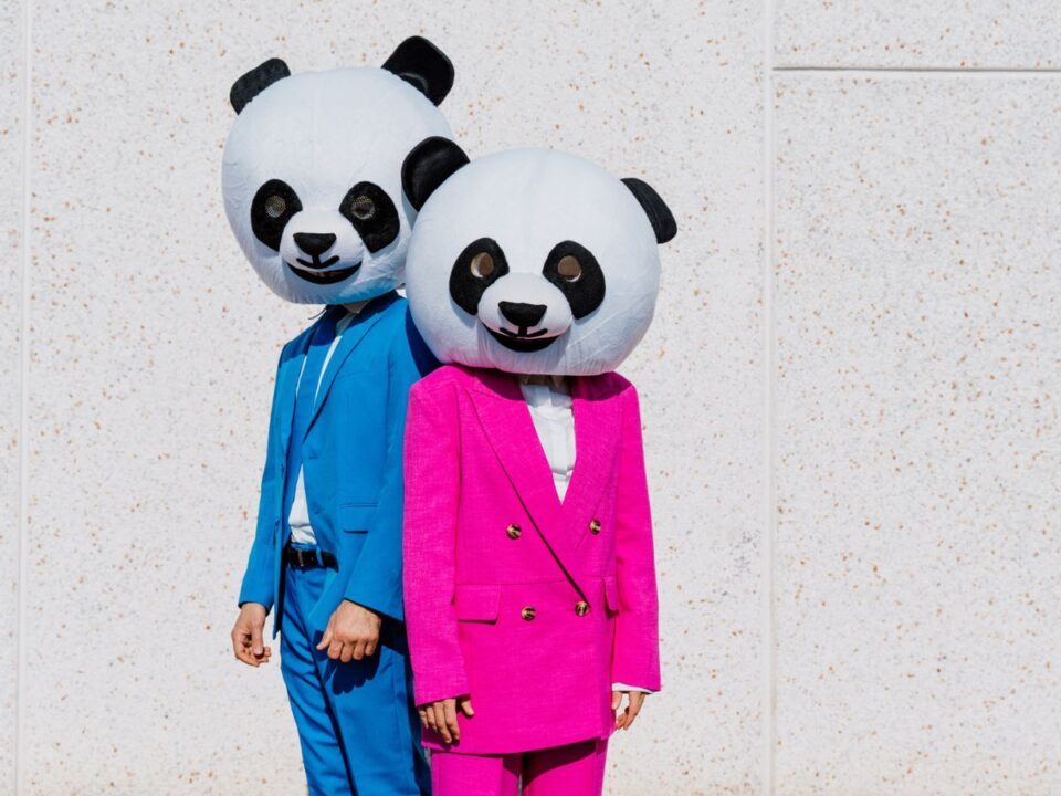 panda, pár, párkapcsolat, szerelem