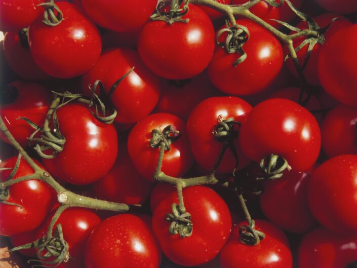 piros paradicsomok