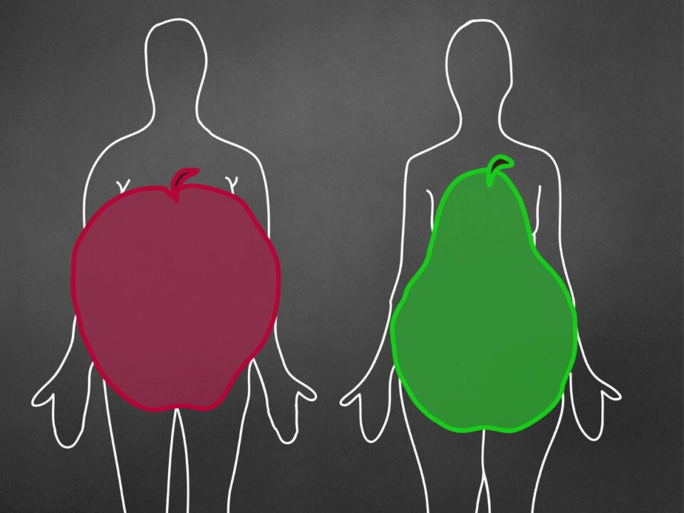 alma körte testalkat