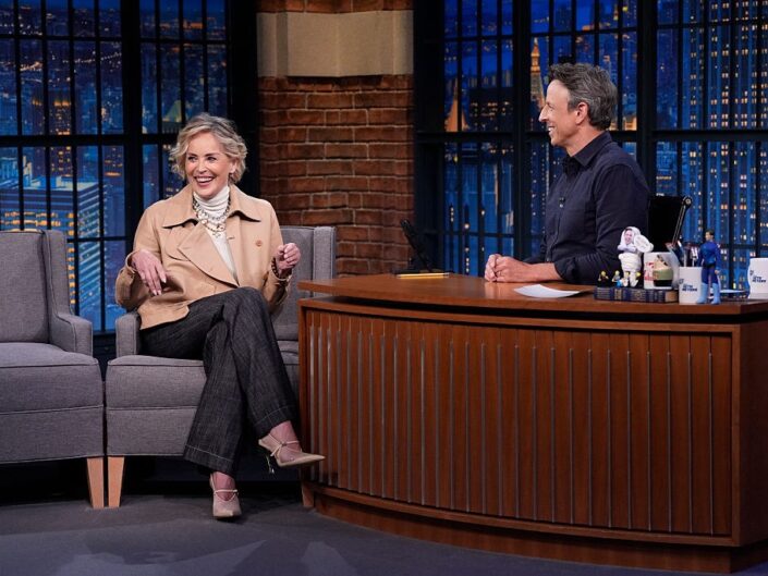 sharon stone tv show