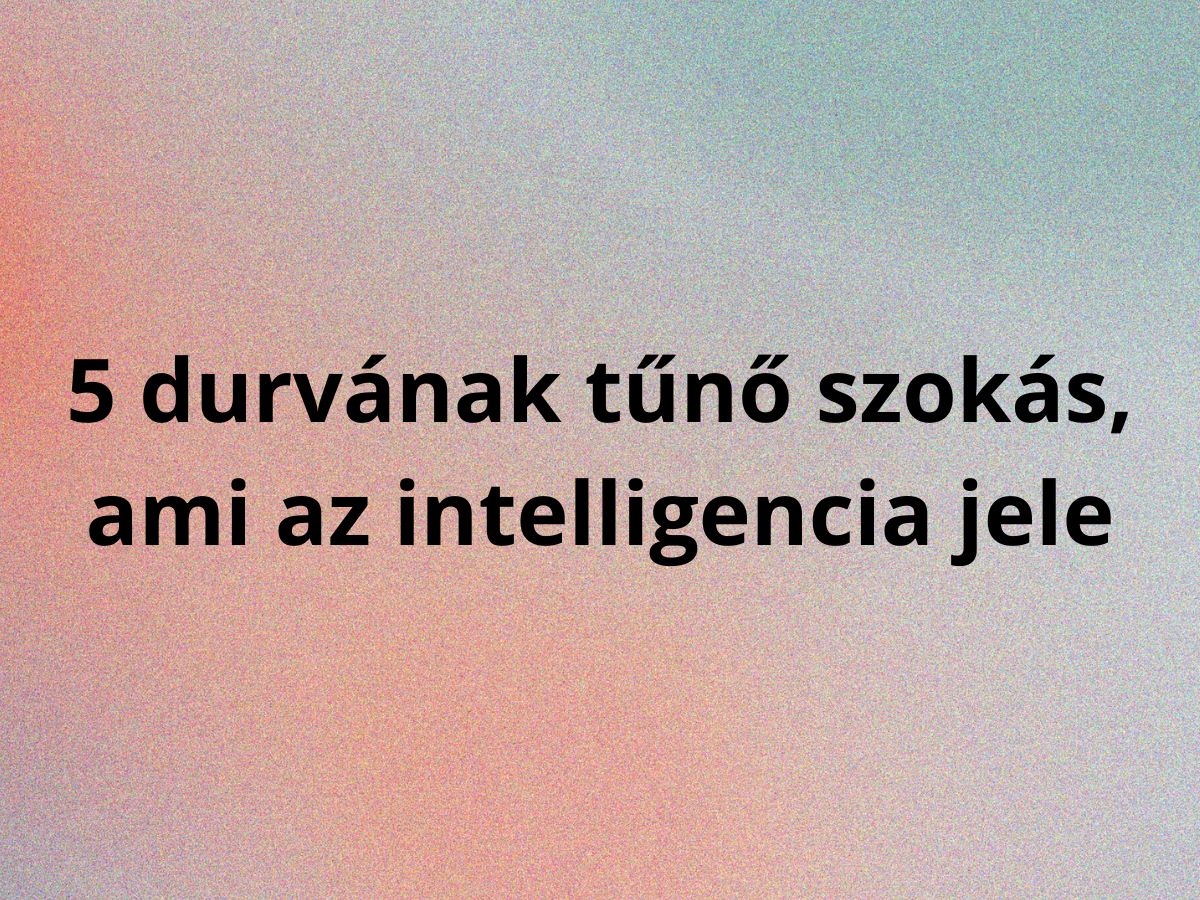 undok intelligens