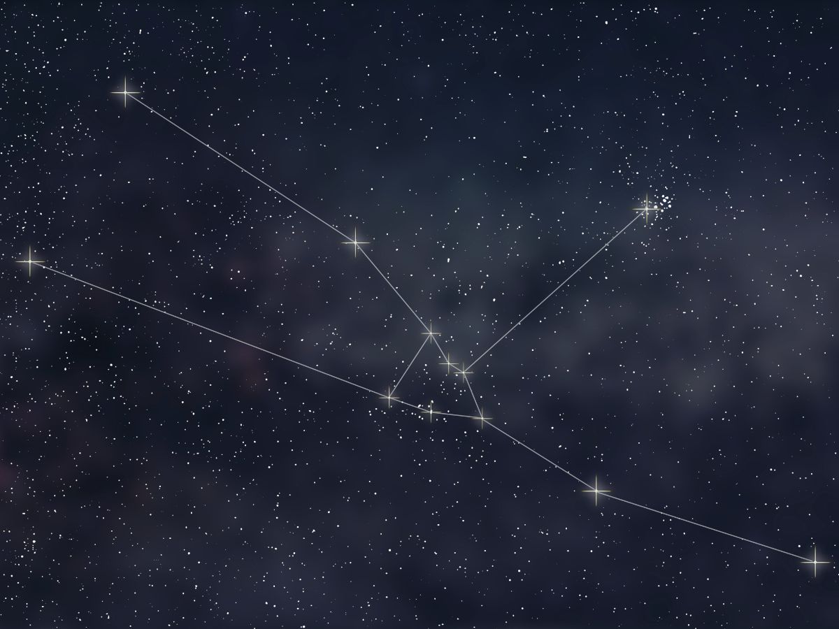 3-csillagjegy-kepes-megbocsatani-de-nem-felejt - Nők Lapja - Nők Lapja bika csillagjegy horoszkóp asztrológia