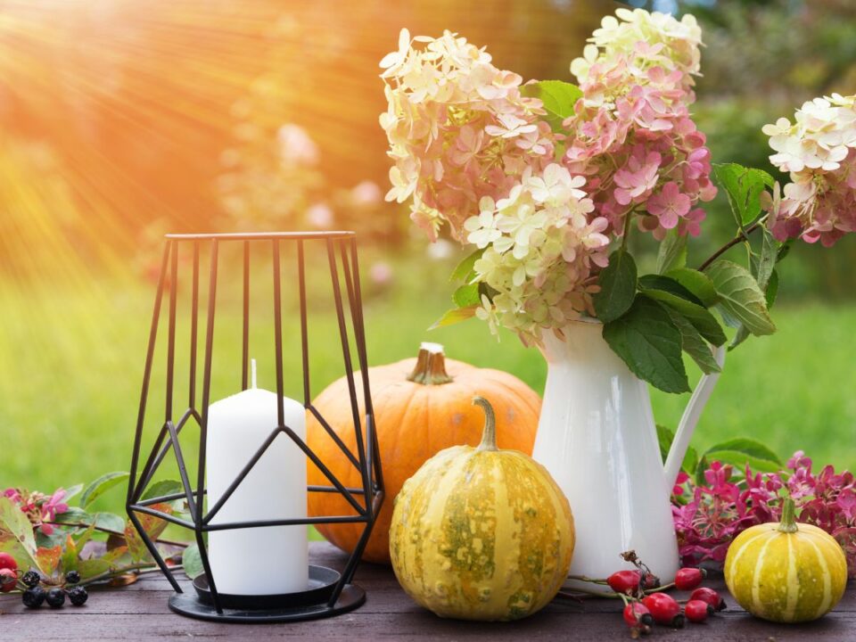 5-erdekesseg-oszi-napejegyenloseg - Nők Lapja napéjegyenlőség ünnep