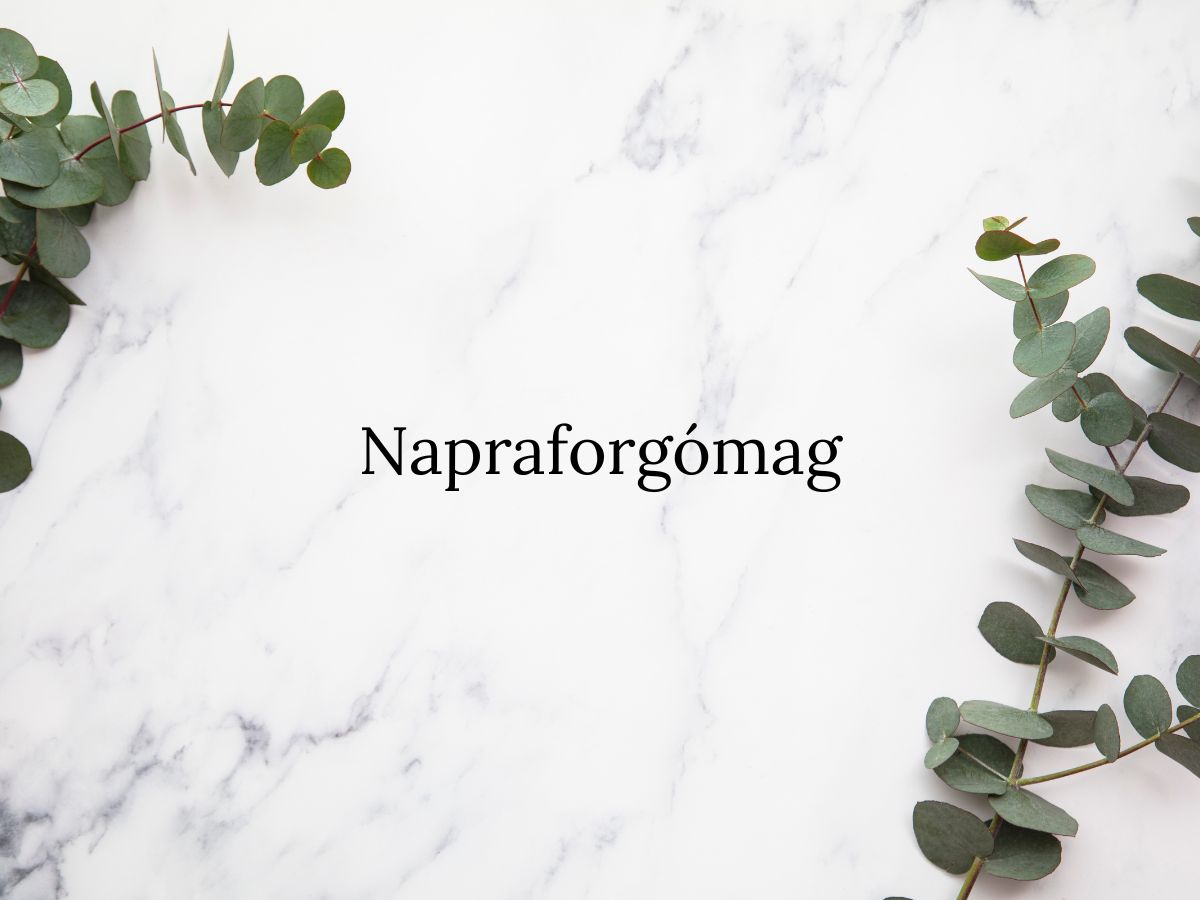 Napraforgómag