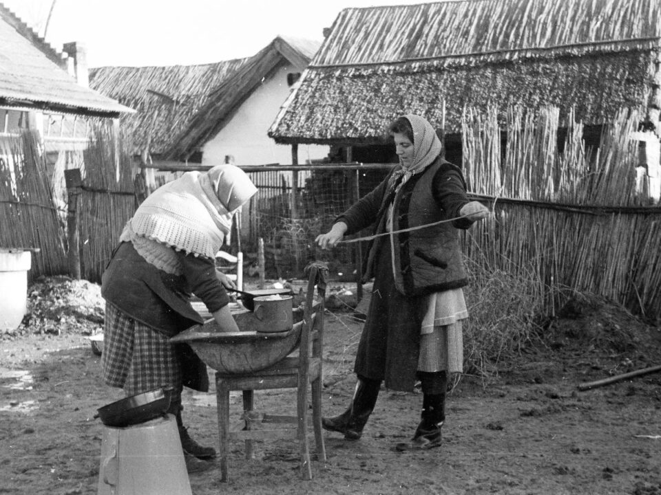 etelek-kep-alapjan-kviz - Nők Lapja disznóvágás