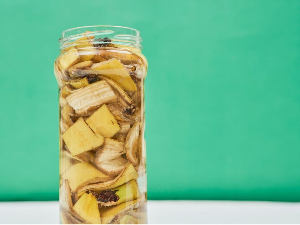 ecet-bananhej-hazi-mutragya - Nők Lapja banánhéj