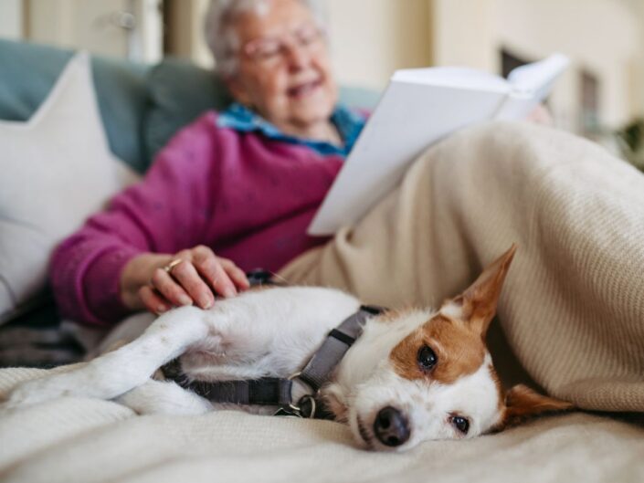 idős hölgy kutya olvasás ágy