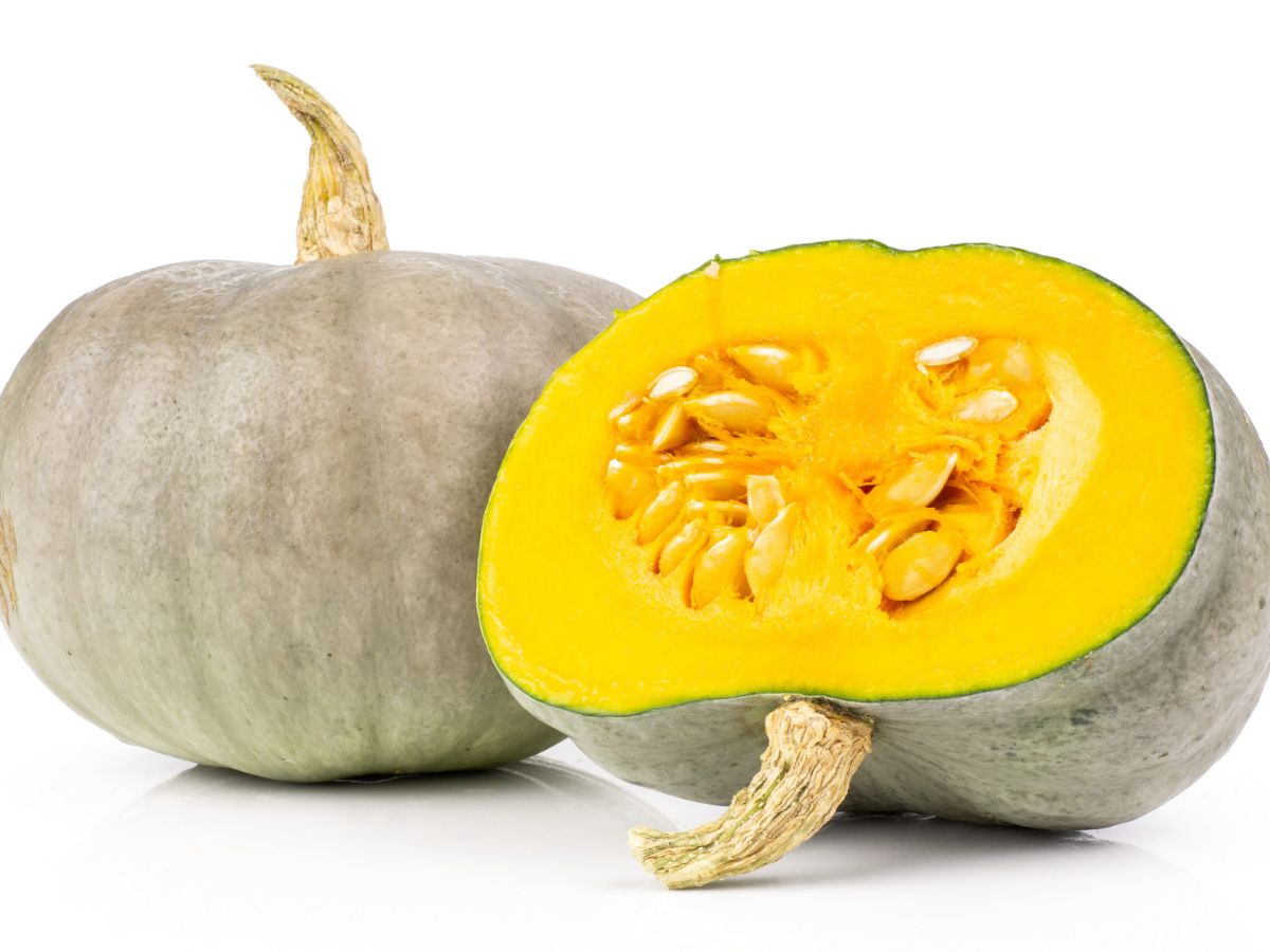 Nagydobosi sütőtök