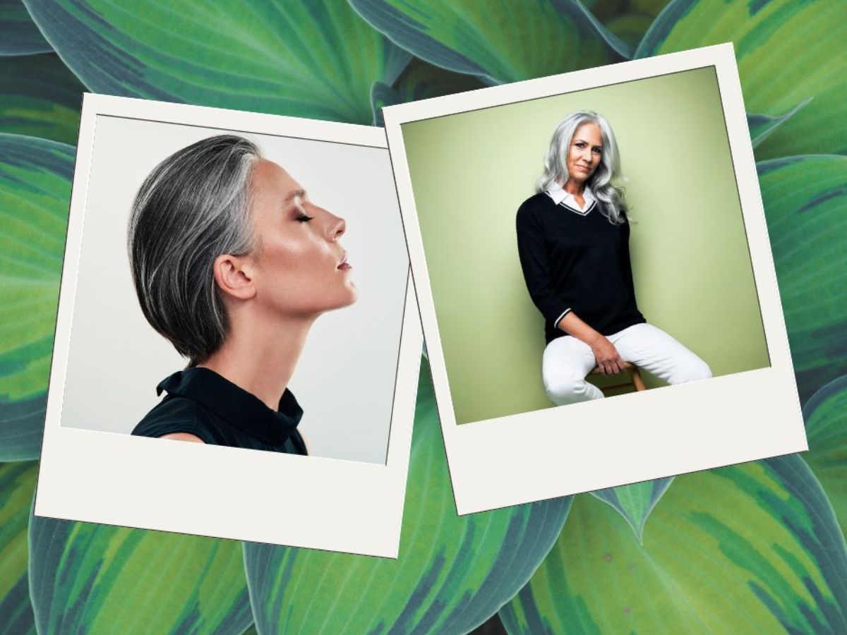 ősz haj rövid frizura