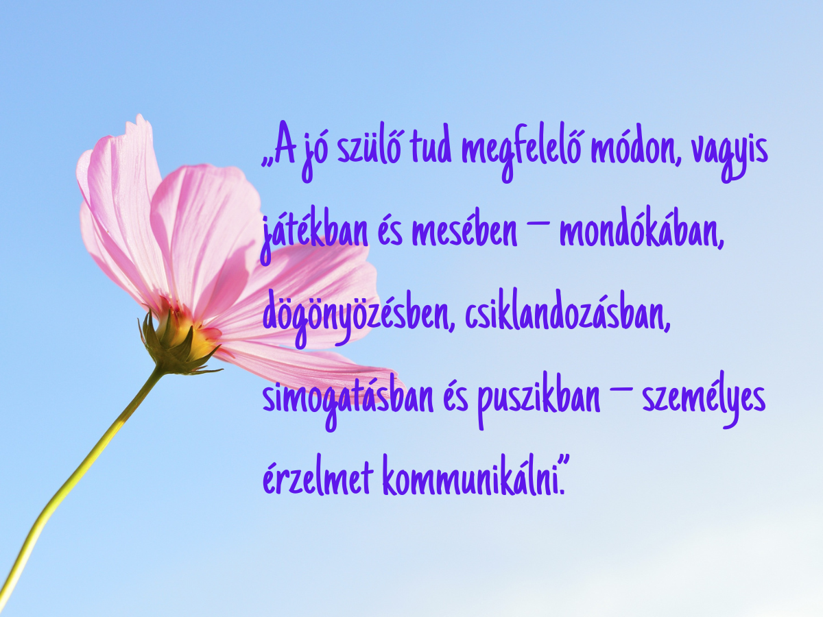 vekerdy-evfordulo-idezetek - Nők Lapja - Nők Lapja Idézetek