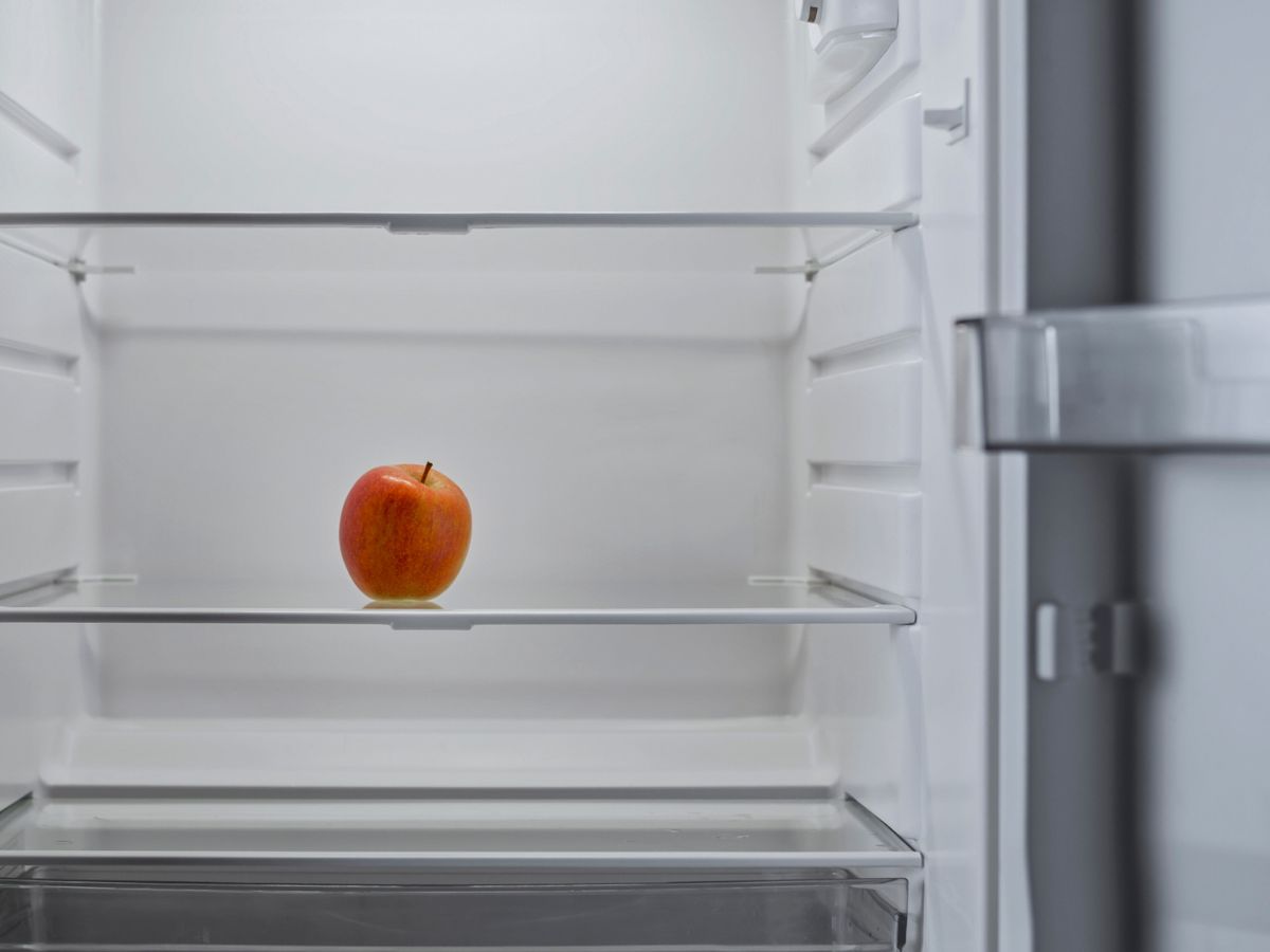 7-dolgot-eszreveszed-felnott-gyereked-otthonaban-nehez-idoszakon - Nők Lapja - Nők Lapja üres hűtő