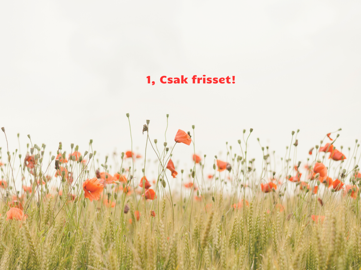 egyszerű mákos desszertek