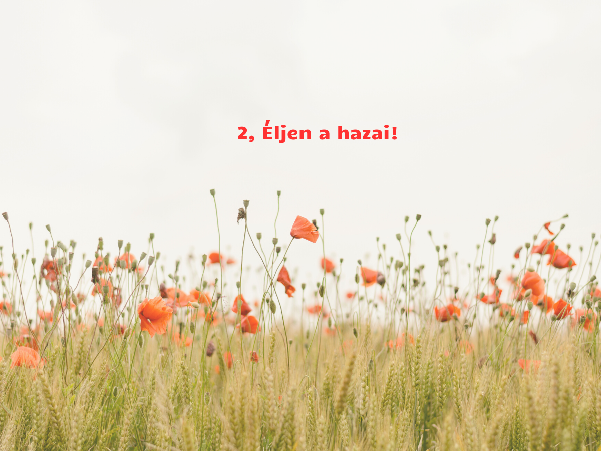 egyszerű mákos desszertek