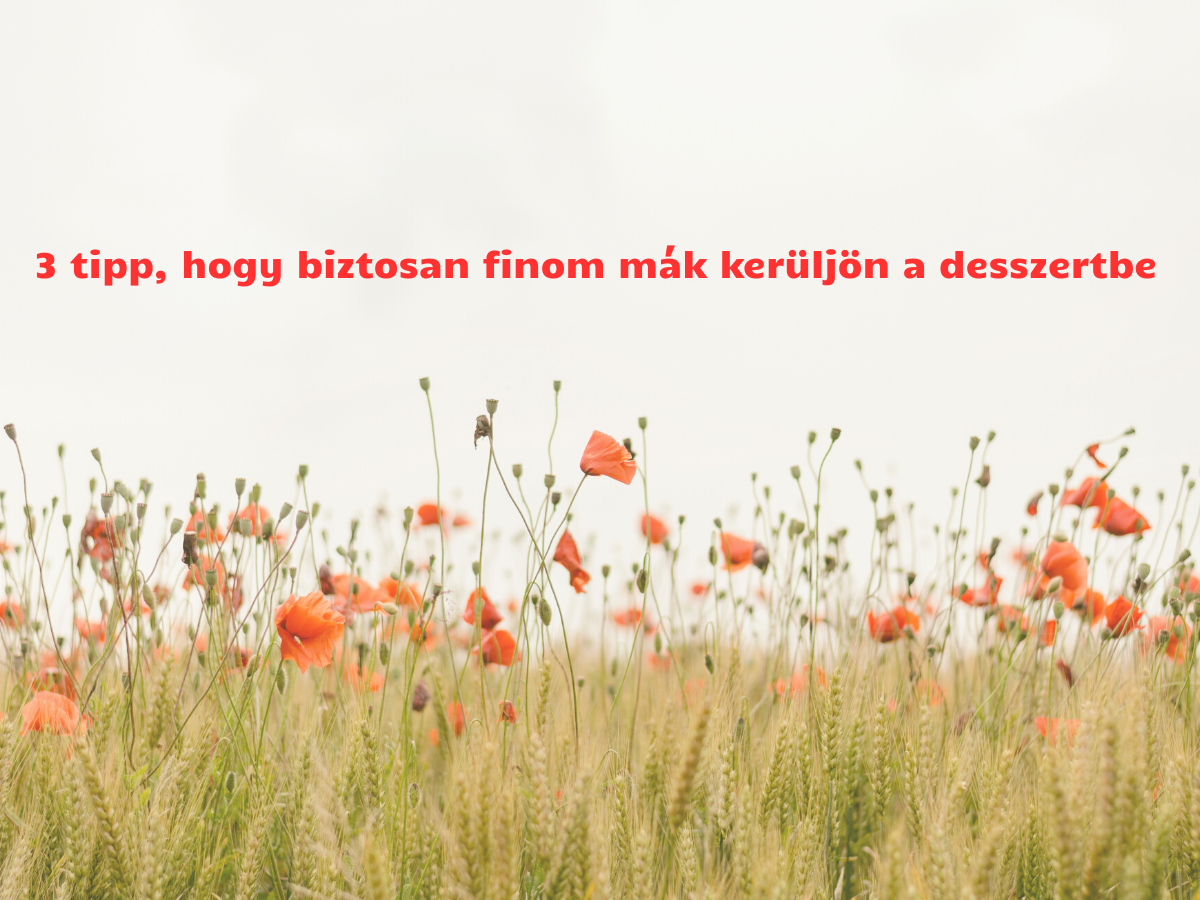 egyszerű mákos desszertek