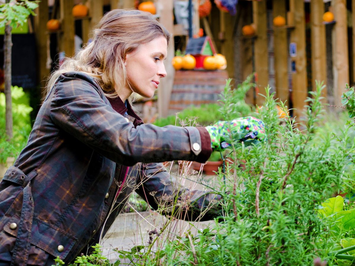 fiatal nő kert növények ősz
