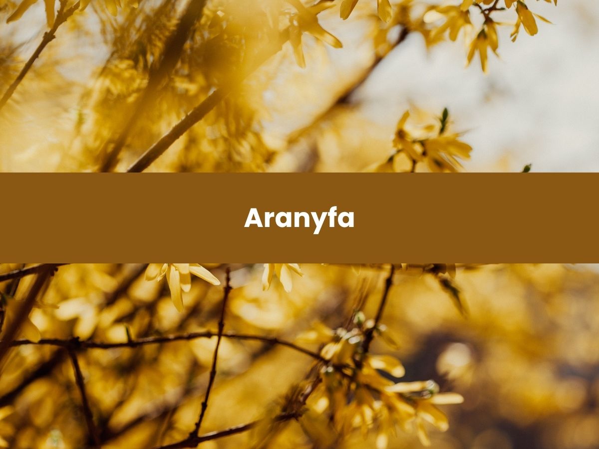 Aranyfa