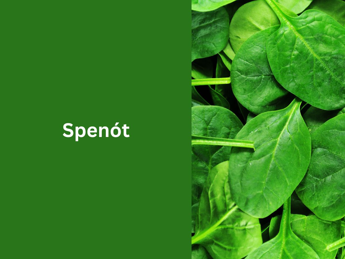 fagyasztott-zoldseg-jobb-mint-friss - Nők Lapja - Nők Lapja Spenót