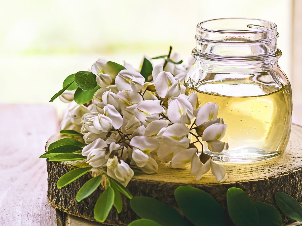 torokfajas-legjobb-mezfajtak - Nők Lapja - Nők Lapja akácméz