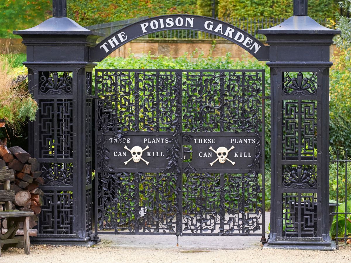 Poison Garden