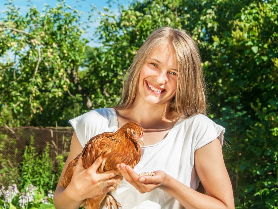 modern gazdagság nő csirkével