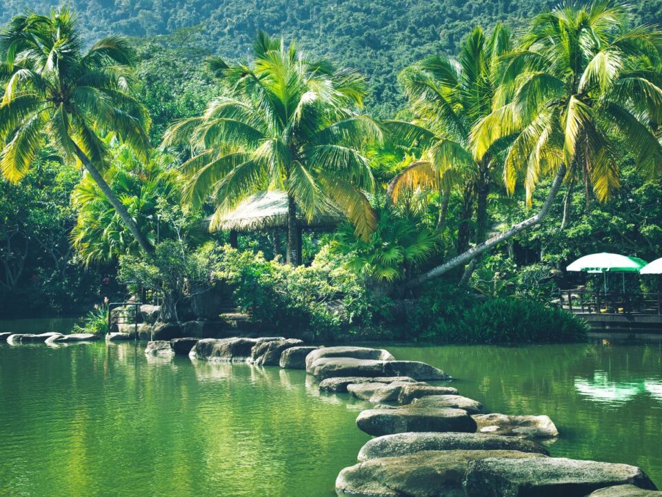 hainan-jungle2 - Nők Lapja