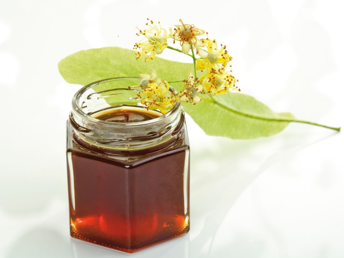 torokfajas-legjobb-mezfajtak - Nők Lapja - Nők Lapja hársméz