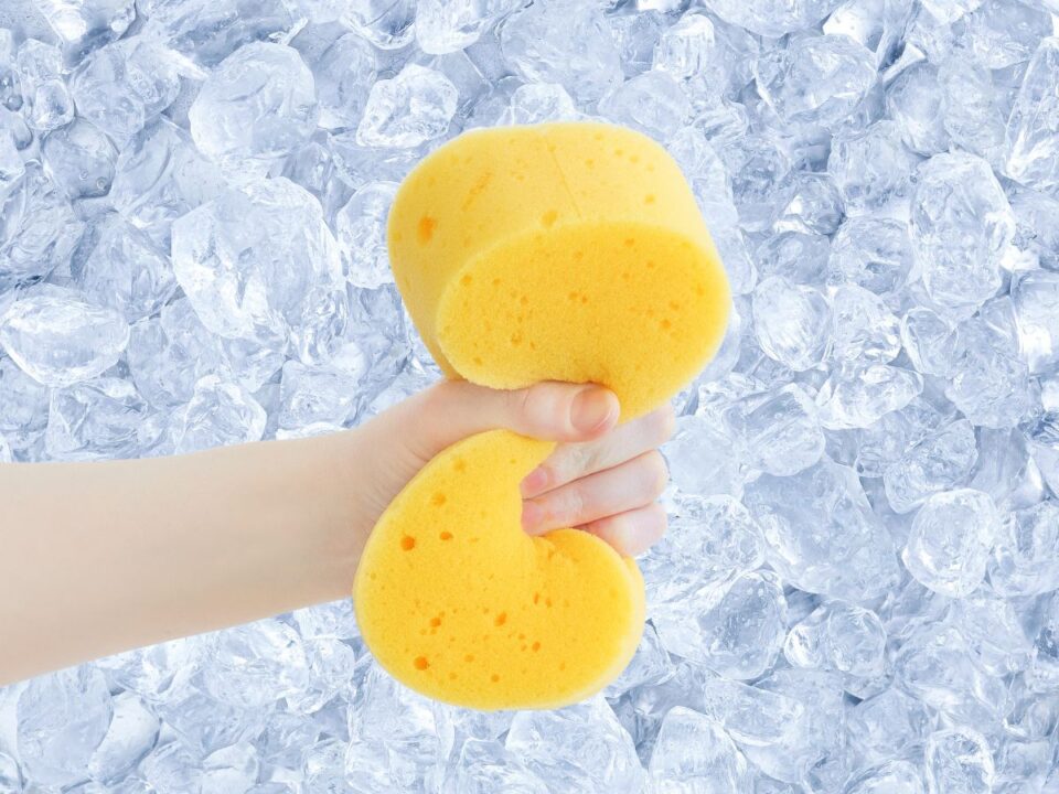 szivacs hűtő szagtalanítás otthoni trükk áramkimaradás praktika