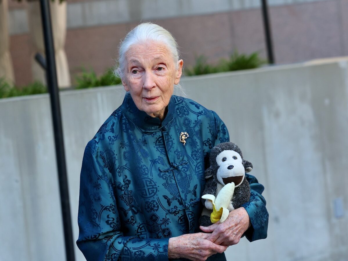 Jane goodall meghalt