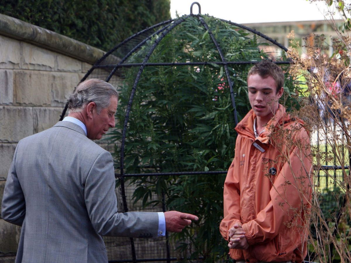 III. Károly király